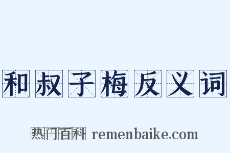 和叔子梅反义词是什么意思的图片